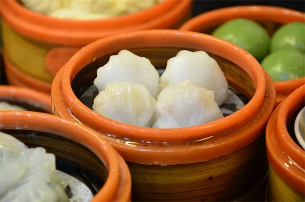 プロ愛用！手間いらずで境界をぼかす6つの植物