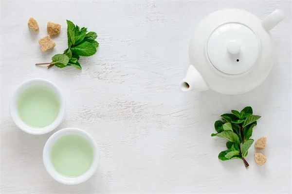 一年生植物が毎年戻ってくる理由と自播成功のコツ
